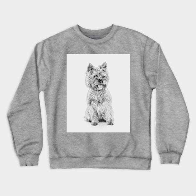 Cairn Terrier - 3a Crewneck Sweatshirt by Avalinart